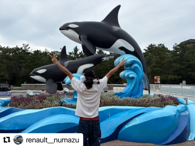 #Repost @renault__numazu with @use.repost
・・・
こんにちは！ルノー沼津のスタッフWです🚗

先日、鴨川シーワールドに行ってきました🐟
イルカとシャチのパフォーマンスは迫力満点で、
想像以上の大きさにびっくり👀✨
シャチのショーの水しぶきは体験してほしいです🫍
⁡
館内には色々な海の生き物がいて、ゆっくり見て回るだけでも
楽しめました♪
なによりレストランのランチが最高でした😋
⁡
鴨川シーワールドまでは少し距離がありますが、
アクアラインなどの景色を楽しみながらのドライブも
あっという間でした🚗³₃
⁡
これからのお出かけシーズンにもぴったりのスポットなので、
気になる方はぜひ訪れてみてください！
⁡
お出かけの際は、安全運転で素敵なドライブをお楽しみください😊
⁡
#ルノー#沼津#鴨シー#シャチカングー